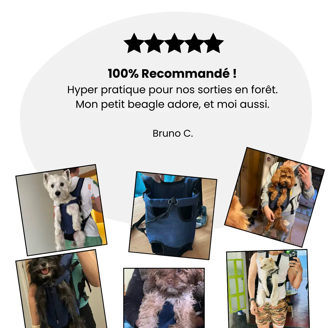 Le sac de voyage pour chien